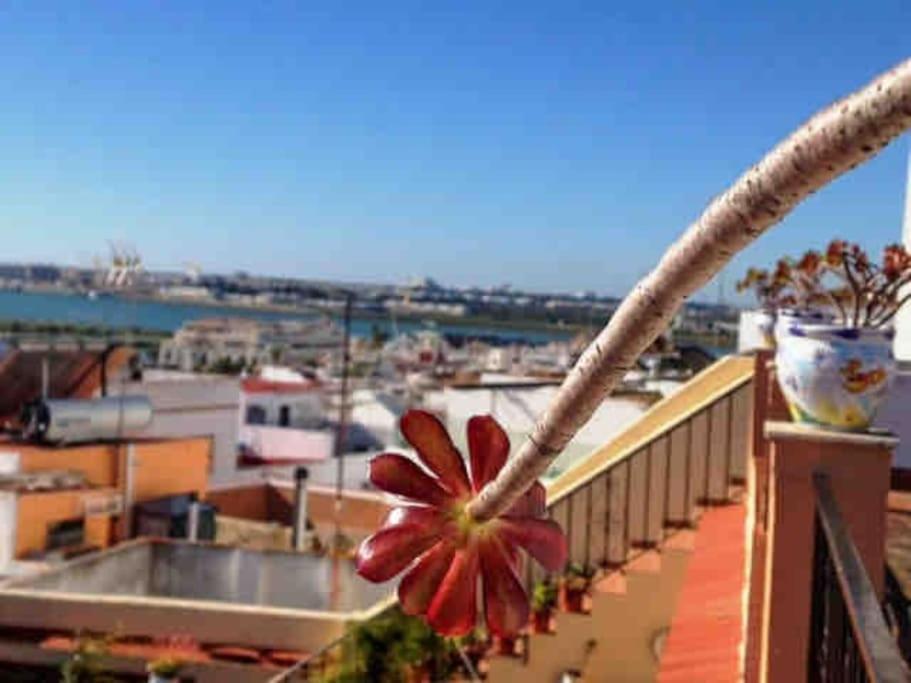 “Flor De Sal” Charming Traditional Andalusian House Ayamonte Eksteriør bilde