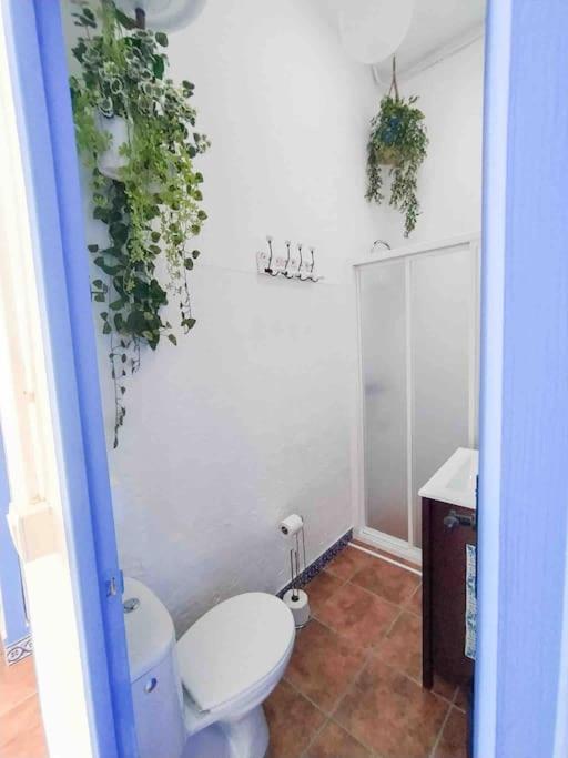 “Flor De Sal” Charming Traditional Andalusian House Ayamonte Eksteriør bilde